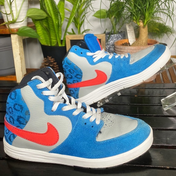 Nike Other - Nike Sb Paul Rodriguez Hi (Youth)